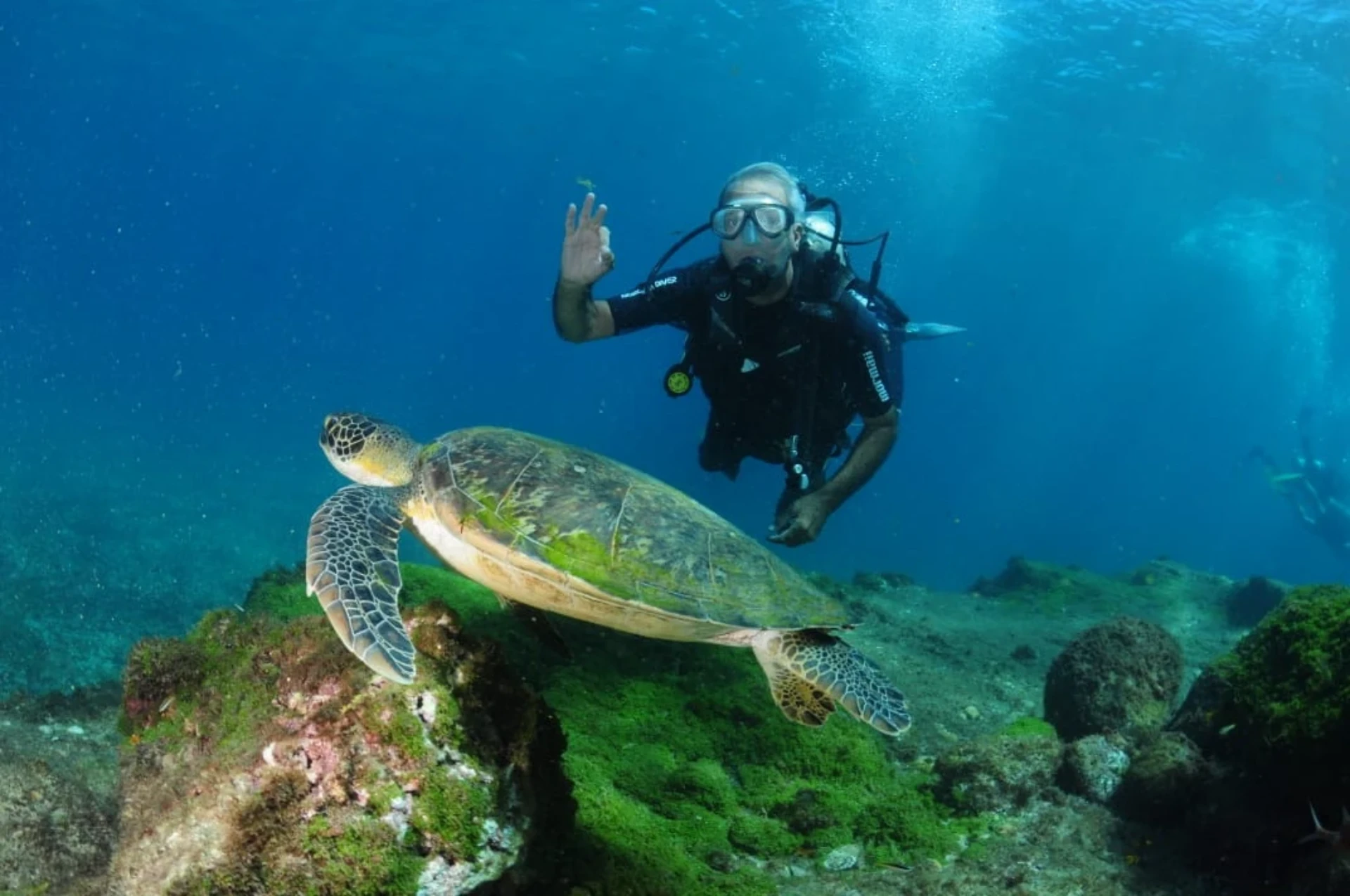 Mergulho em Noronha